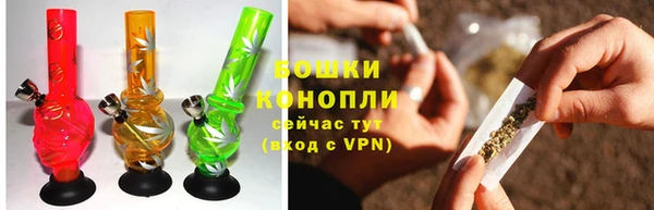 тгк Лиски