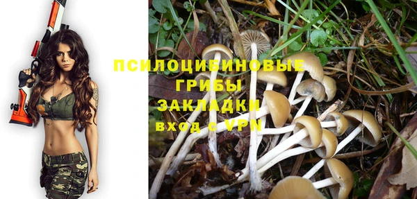 прущие крисы Лихославль